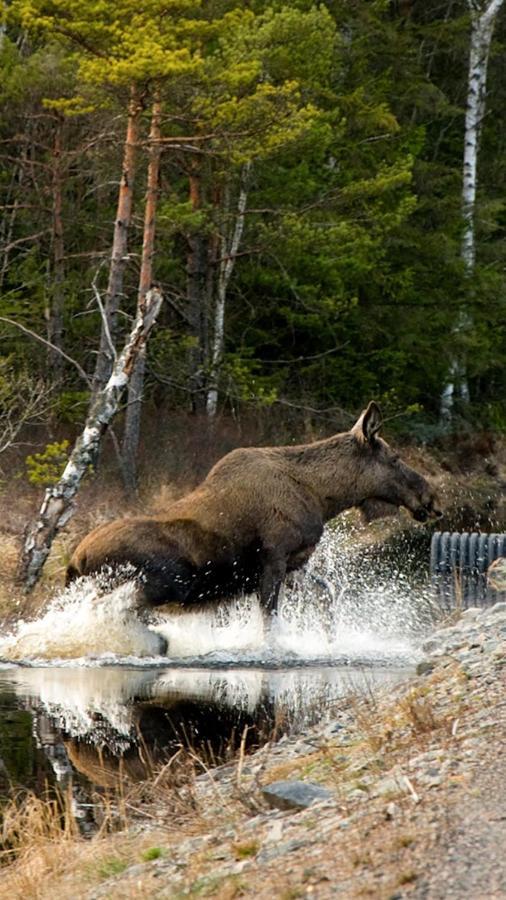 Апартаменты На Школьной Eskilsby Экстерьер фото